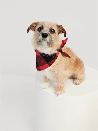 Patterned Bandana for Pets | Old Navy (US)