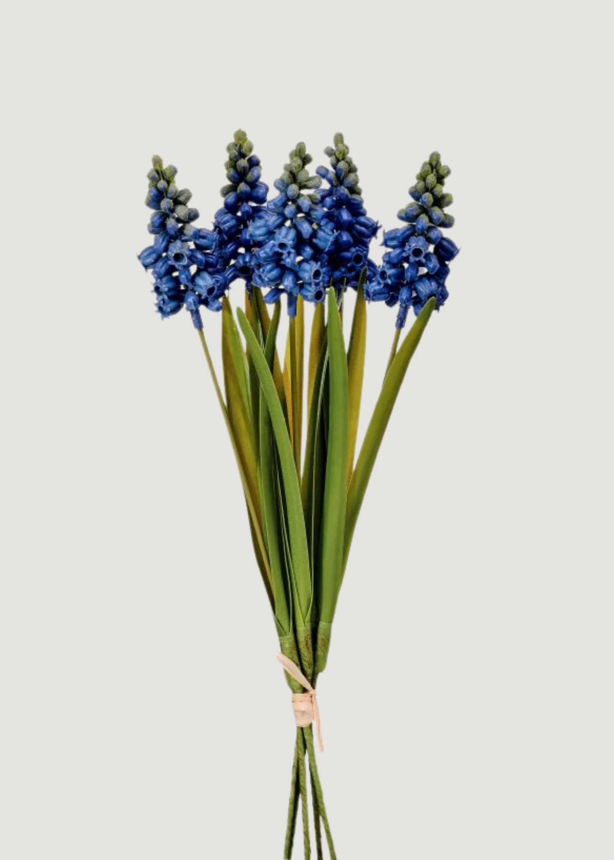 Blue Fake Grape Hyacinth Spring Flower Bundle - 12.5 | Afloral