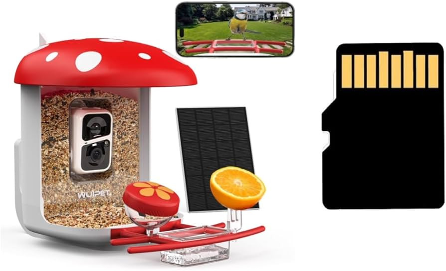 Bird Feeder with Camera Red+64G SD Card | Amazon (US)