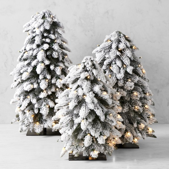 Jeff Leatham x Williams Sonoma Winter White Faux Tabletop Tree with Twinkle Lights | Williams-Sonoma