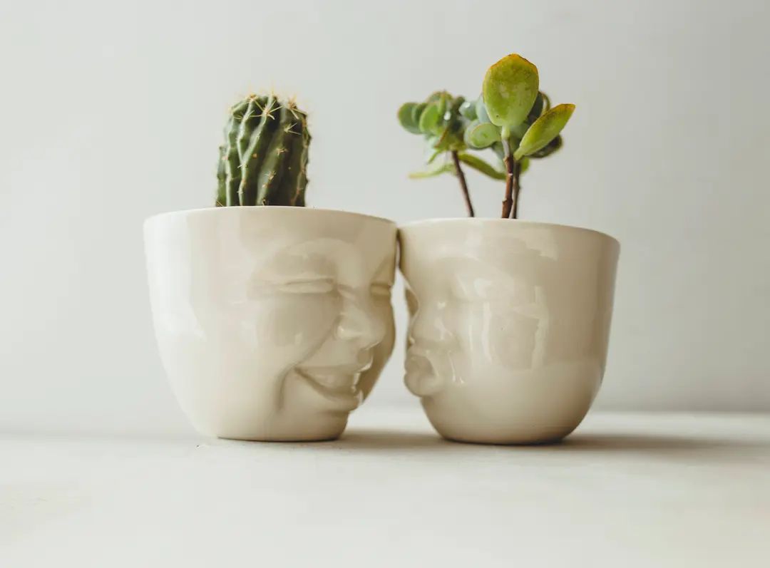 Succulent Pots Set Ceramic Planter Face Planter Housewarming - Etsy | Etsy (US)