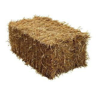 Straw Bale Full Size | The Home Depot
