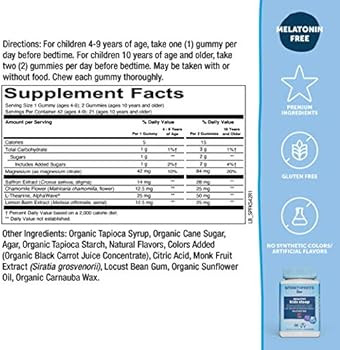 SmartyPants Kids Sleep Gummies: Melatonin FREE; Magnesium for Nervous System Support; L-Theanine ... | Amazon (US)