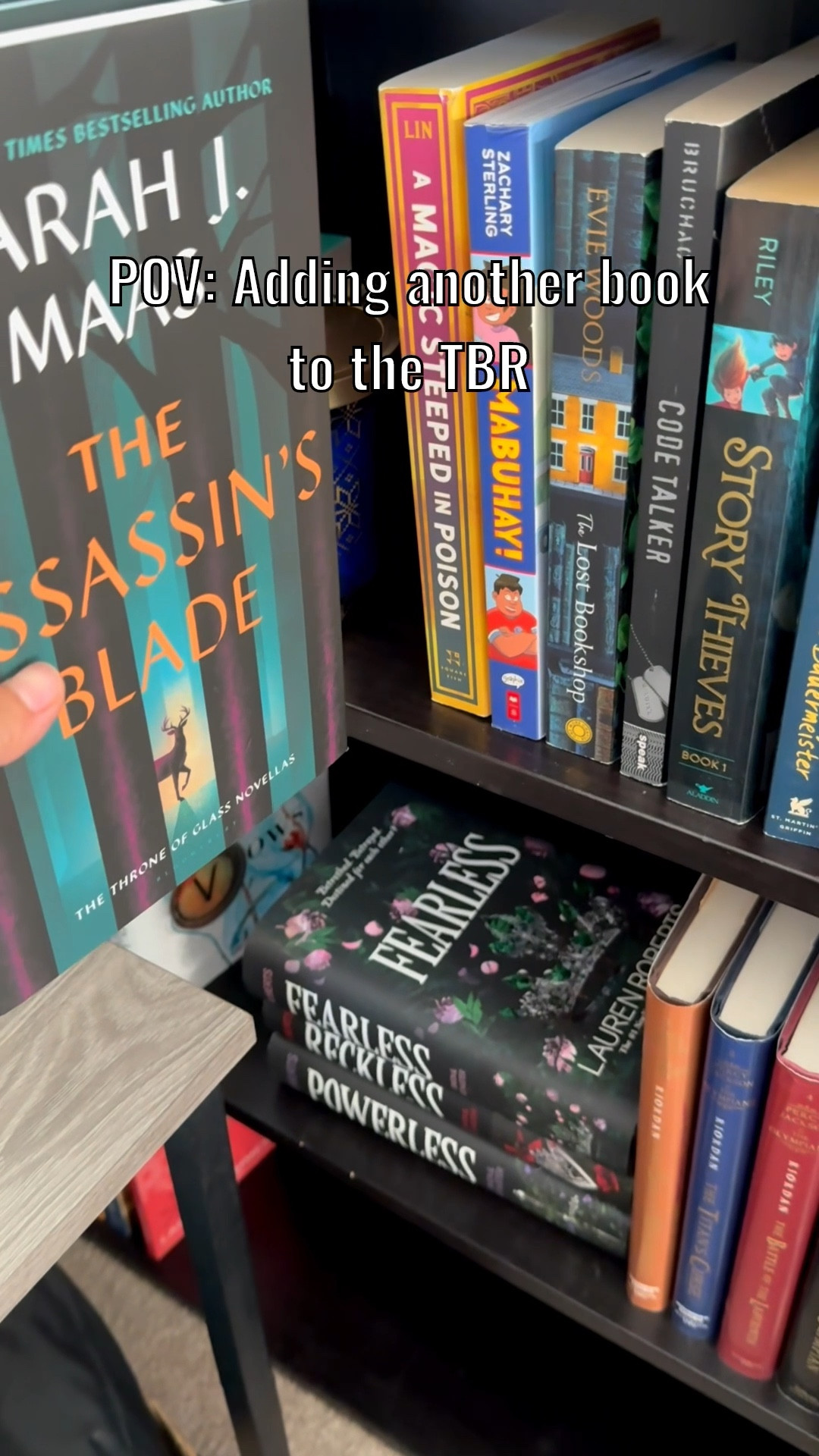 Adding books to the ever growing TBR. 

Late to the party but finally giving Sarah J. Maas’a The Assassin’s Blade a try. 

