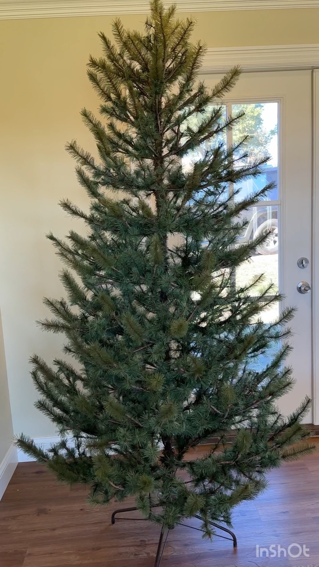 I’m so pleasantly pleased with the artificial tree I bought this year! 

It’s just sparse enough to showcase all the ornaments, but not so sparse that it looks sad. 

This exact tree is available from many different stores (plus different heights and light options) so I linked to as many as I could find! 

The 7’ unlit option (what I have) is already sold out of some Amazon vendors. 


#LTKhome #LTKHoliday #LTKSeasonal