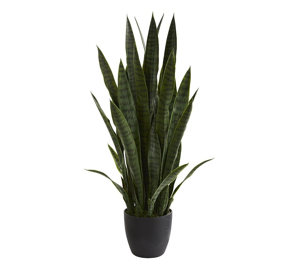 Sansevieria Faux Plant, 3' | Pottery Barn (US)