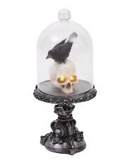Crow On Skull In Cloche Decor | Fall Decor | T.J.Maxx | TJ Maxx