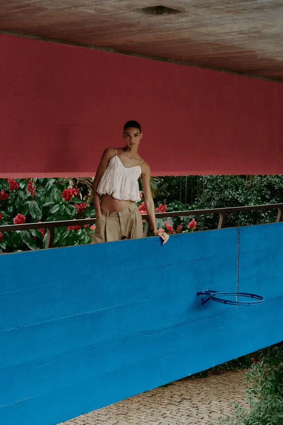 EMBROIDERED EYELET BALLOON TOP | Zara US