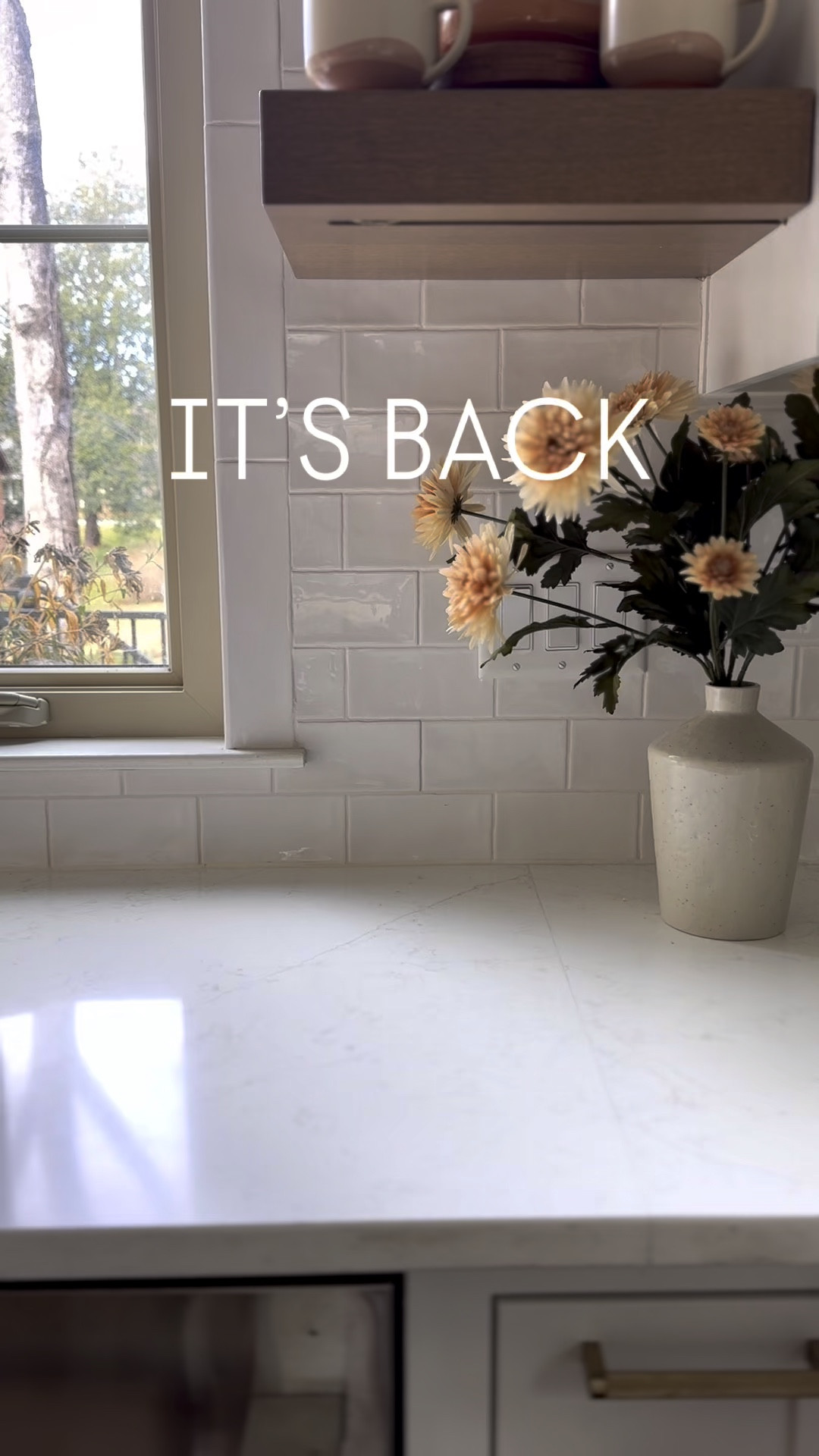 The viral target canning tote bag is back in stock this season! It comes in a creamy white and black and it’s the perfect medium size

#LTKGiftGuide #LTKItBag #LTKSeasonal