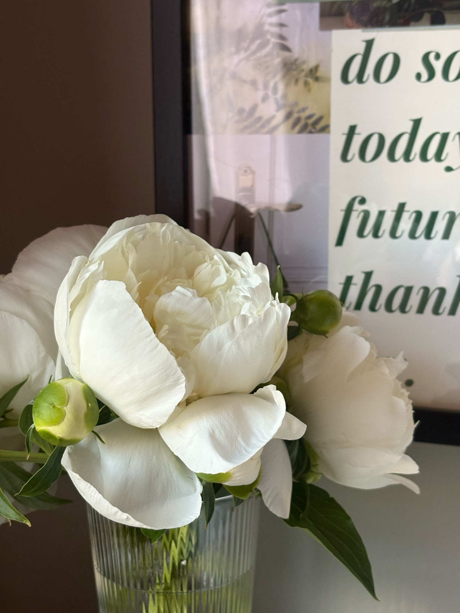I can’t wait until the new peony blooms are ready to pop in my garden 💐 this year I’m going to plant many more bushes in the hopes of enjoying these fragrant flowers throughout the house

#LTKHome
