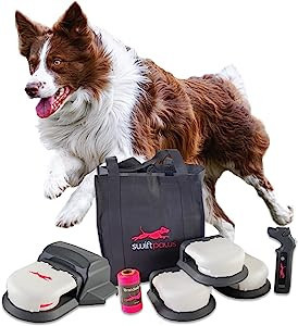 SwiftPaws Home Original Remote-Control Toy - For Dogs - Flag Lure Course - 30 mph - 10 Min Run Ti... | Amazon (US)