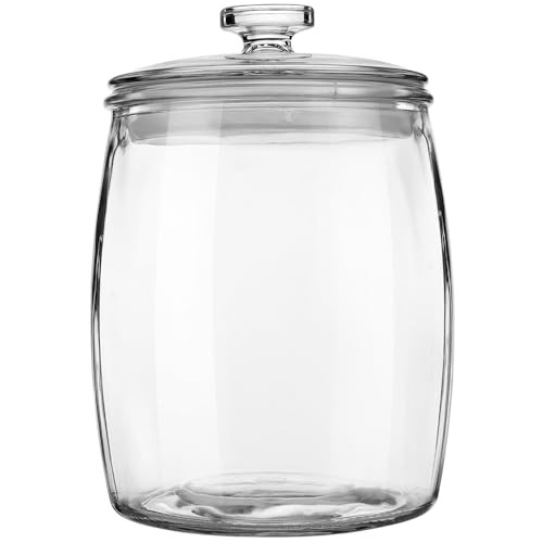 Wide Mouth Glass Jar with Airtight Lid, 1/2 Gal Clear Container | Amazon (US)