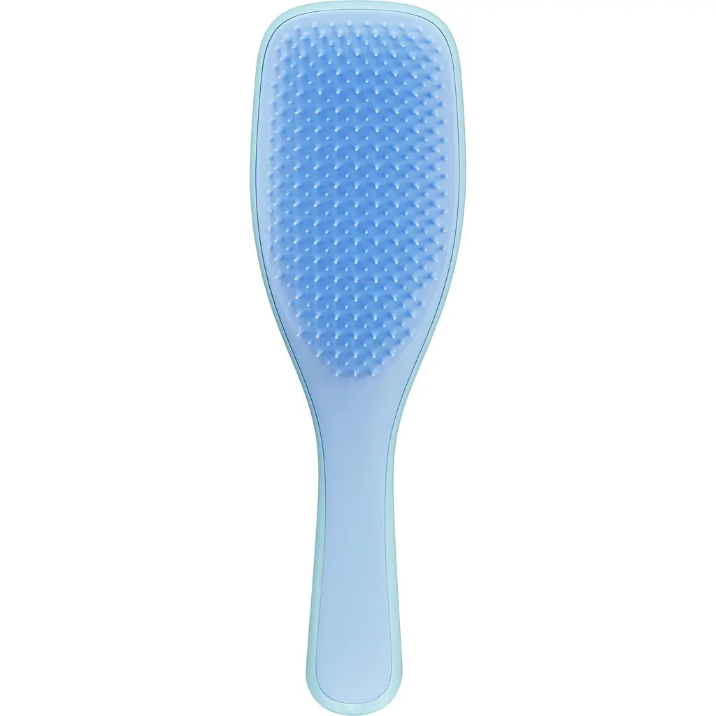 Tangle Teezer Ultimate Detangler Hairbrush in Blue/turquoise at Nordstrom | Nordstrom