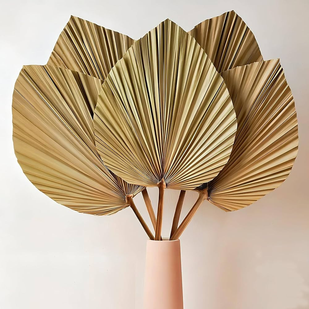 MAQ's 5 Stems Natural Dried Palm Leaves are Perfect for Palm Leaf Décor, Boho Decor, Home Decor,... | Amazon (US)