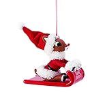 Department 56 Possible Dreams Rudolph The Red-Nosed Reindeer Sleigh Shine Bright Hanging Ornament... | Amazon (US)