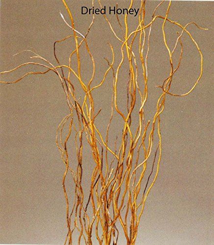 Green Floral Crafts Curly Willow 3-4 Ft Tall, Bunch of 8-10, Dried Honey | Amazon (US)