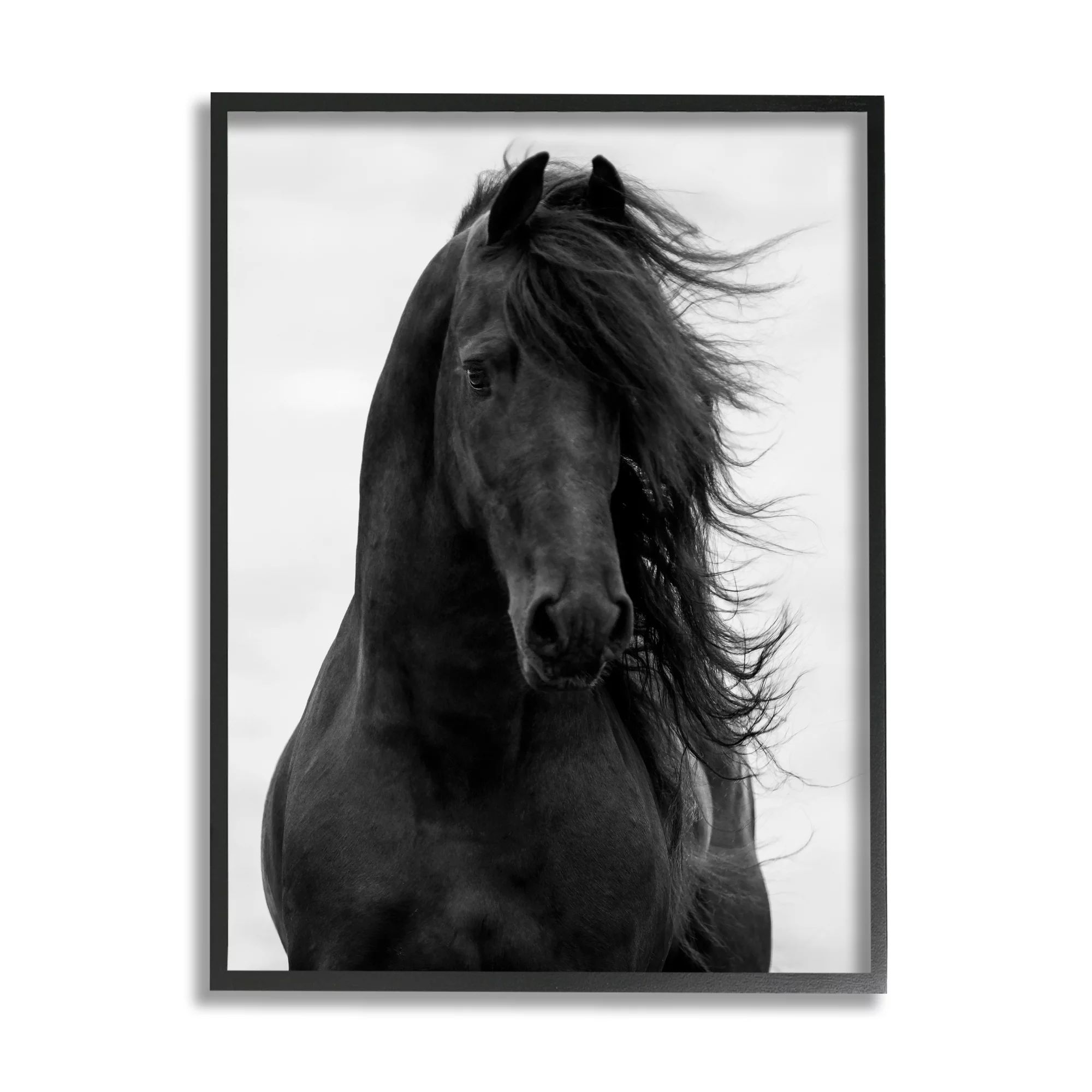 Stupell Industries Black Stallion Horse Portrait Soft Grey Sky Photography, 11 x 14, Design by Ca... | Walmart (US)