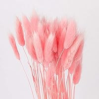 BRXY 50PCS Home Decoration Lagurus Ovatus Rabbit Tail Dried Flowers, Real Flower, Eternal Flower ... | Amazon (US)