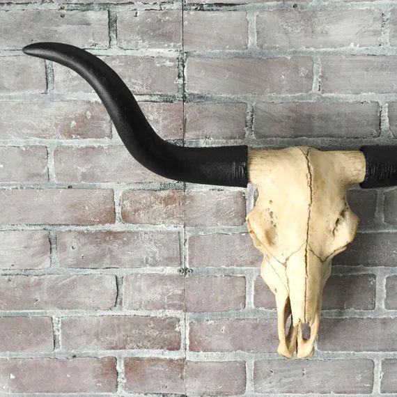 ANY COLOR Resin Faux Taxidermy Longhorn Skull Wall Hanging Mount / Cow Skull / Bison / Buffalo / ... | Etsy (US)