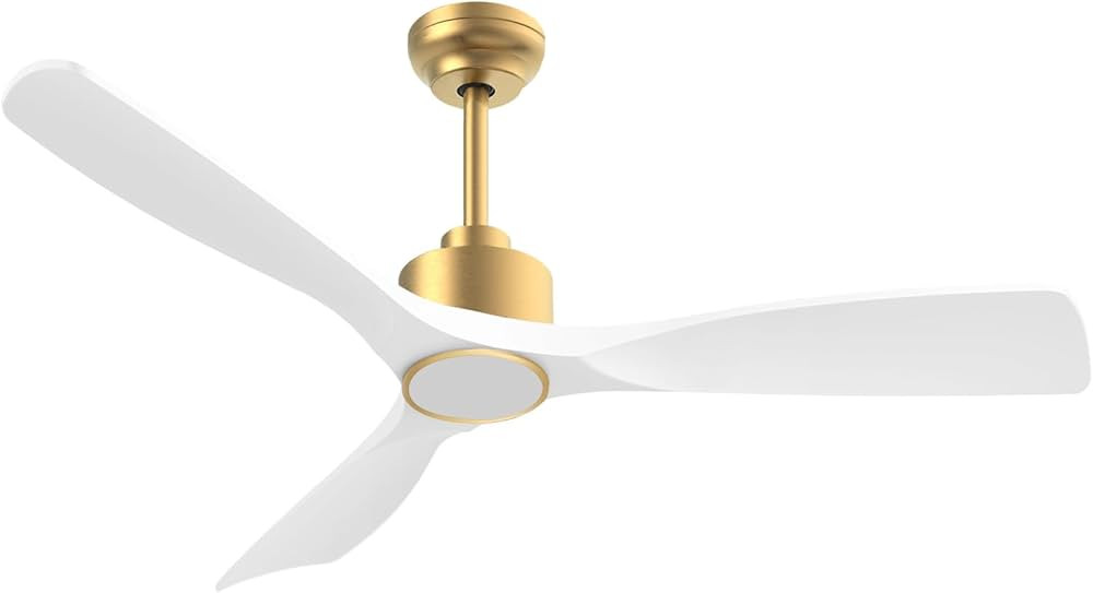 52 Inch ETL Listed Indoor Outdoor Smart Ceiling Fans with Lights Remote Control, Quiet DC Motor 3... | Amazon (US)