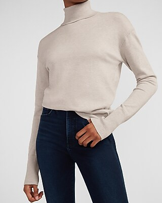 Skimming Turtleneck Sweater | Express