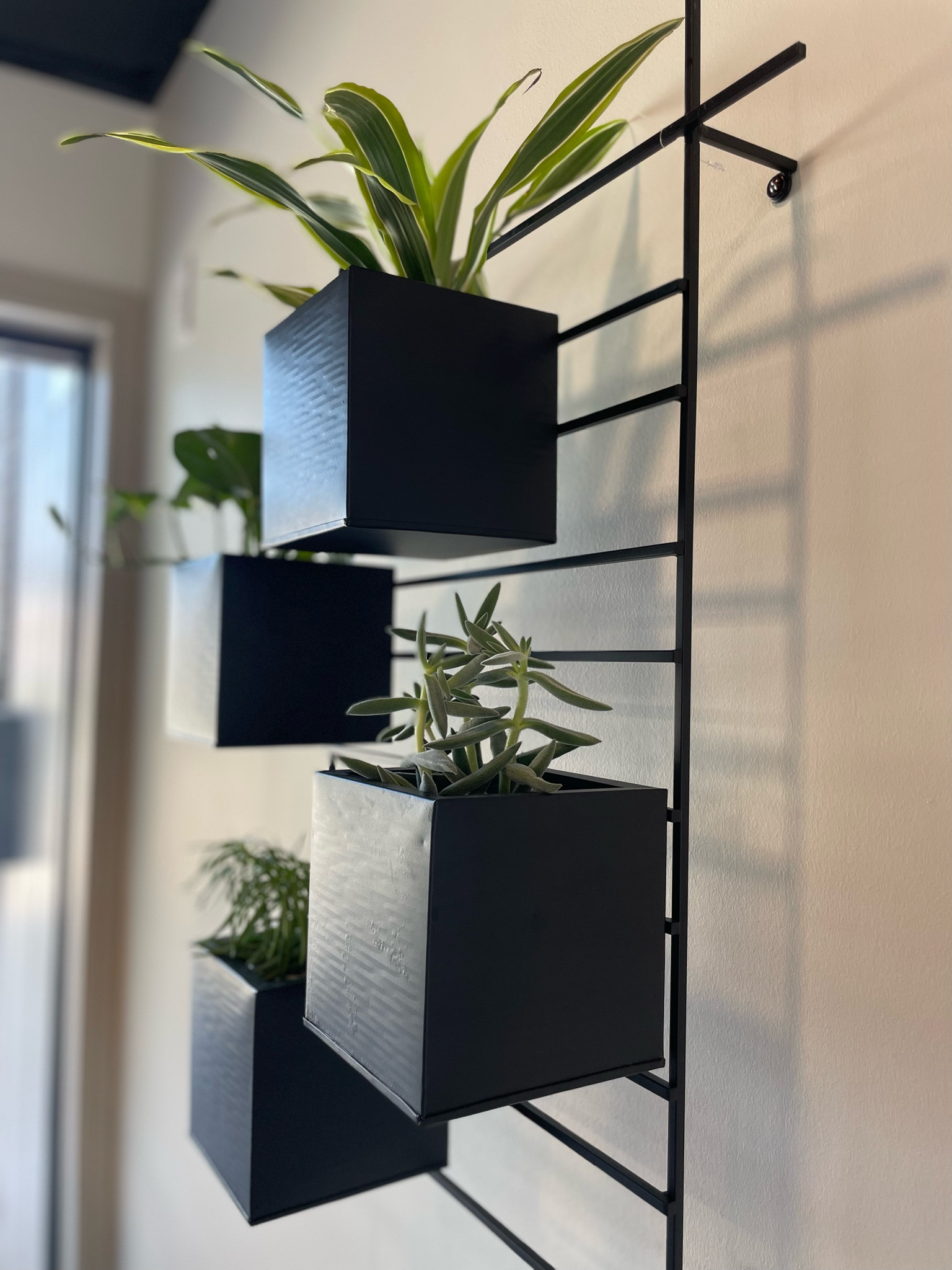 Love this planter!! 🤩🪴

#LTKHome