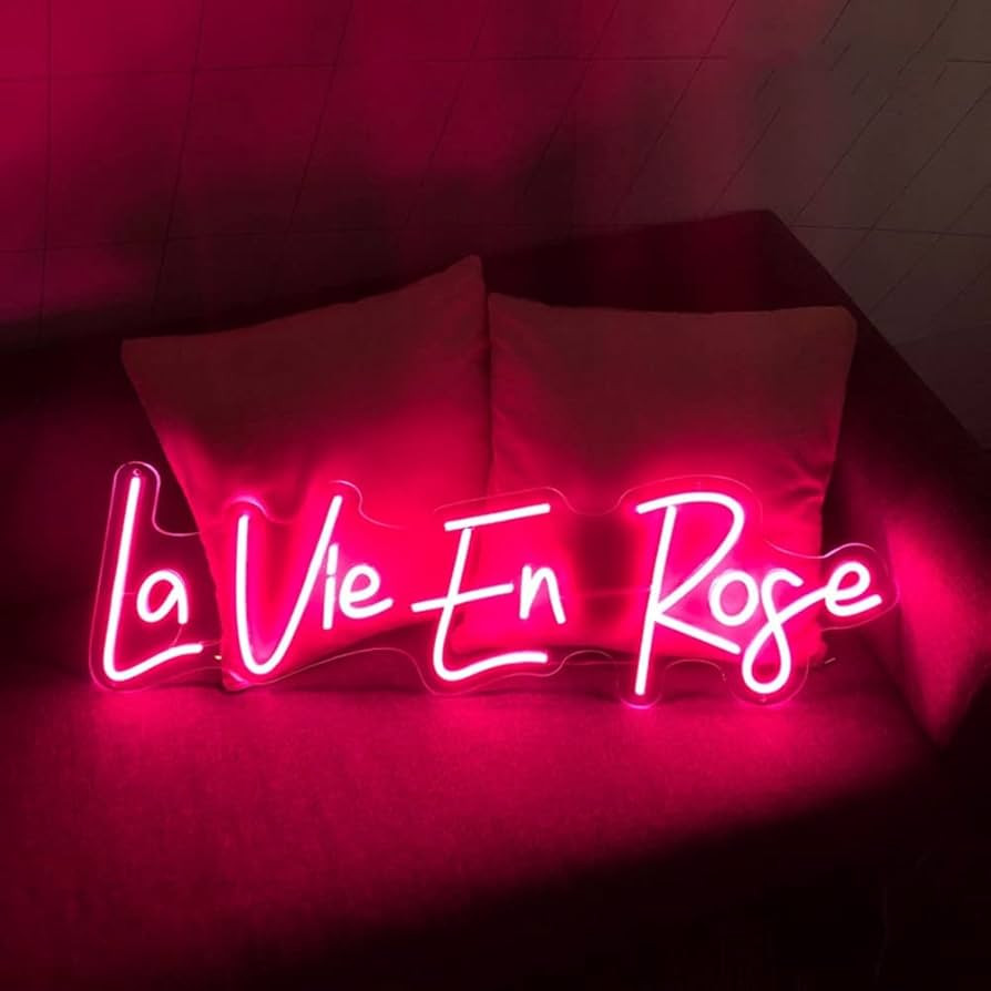 La vie en rose French Neon LED Signs USB Powered Acrylic Light For Wall Decor Valentine's Day Dat... | Amazon (US)
