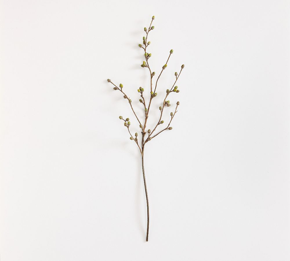 Faux Coast Oak Branch | Pottery Barn (US)
