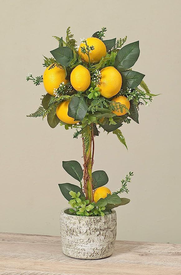 19 Inch Artificial Potted Lemon Topiary Tree in Ceramic Pot | Amazon (US)