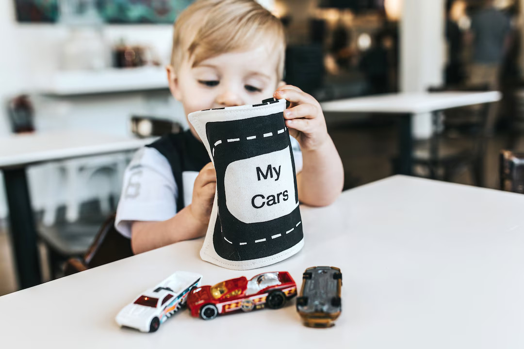 Travel Toy for Toddlers, Boy Travel Toy, Car Storage, Car Organizer, Eco-friendly Toys, on the Go... | Etsy (US)