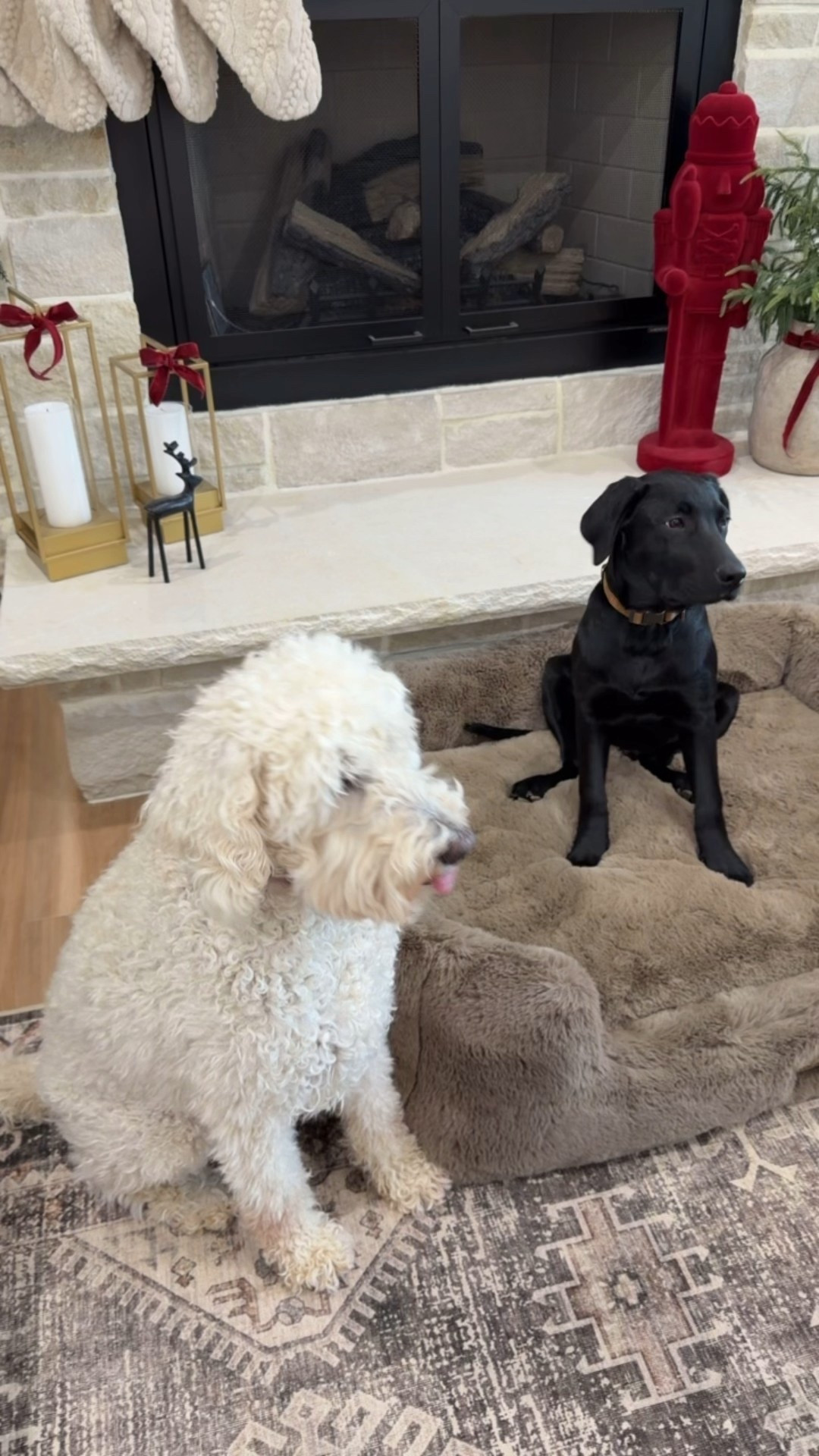 Use code JESSAJO

#LTKGiftGuide #LTKHoliday #LTKHome