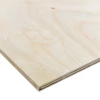 Handprint 1/2 in. x 2 ft. x 4 ft. Sande Plywood Project Panel 103078 - The Home Depot | The Home Depot