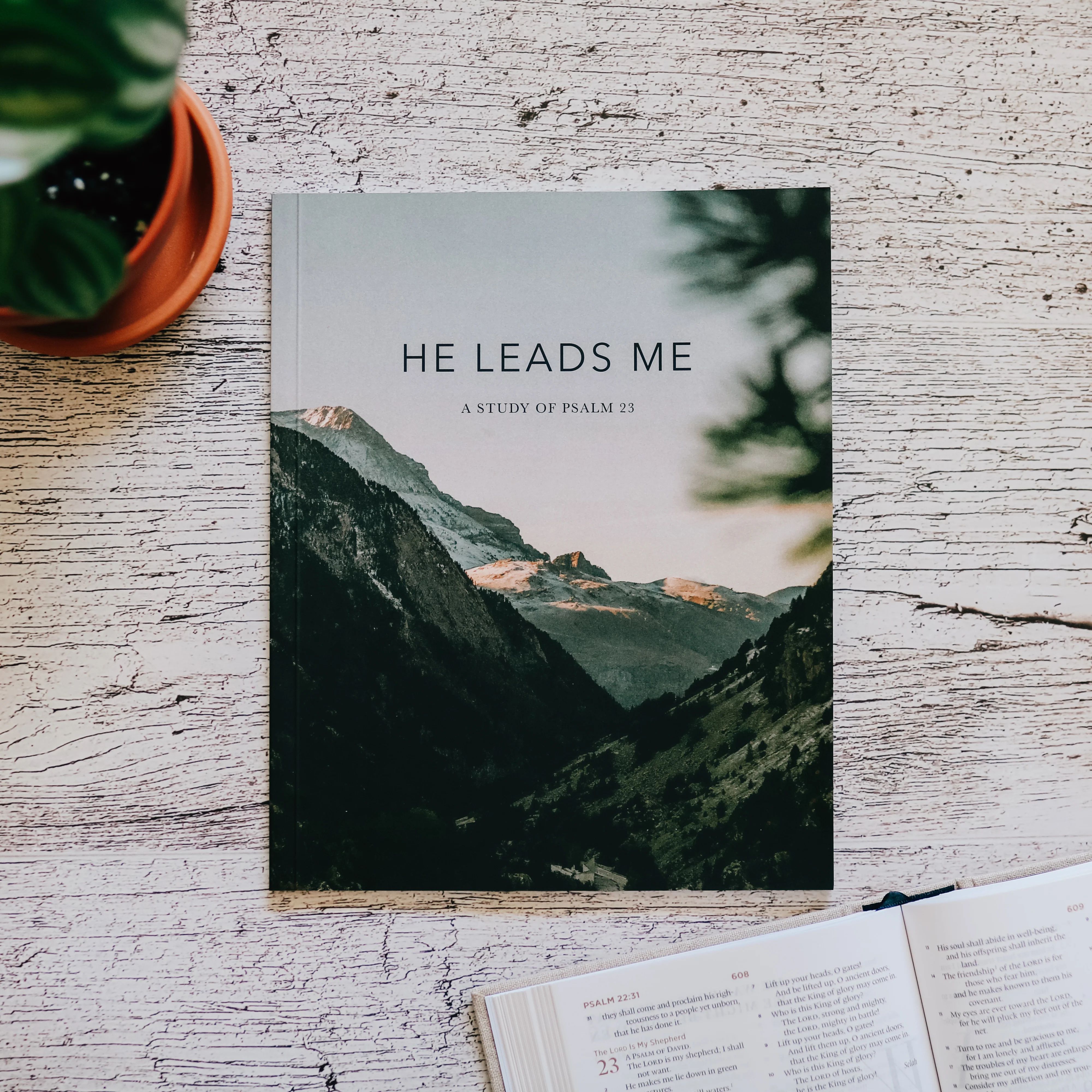 He Leads Me | Psalm 23 - Men | The Daily Grace Co.