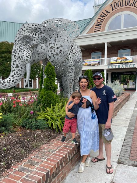 Went to the zoo, our fav was the lion! 
38weeks pregnant wearing a 4 in this petal and pup gingham blue dress! So bump friendly!

#LTKfamily #LTKbump #LTKsalealert