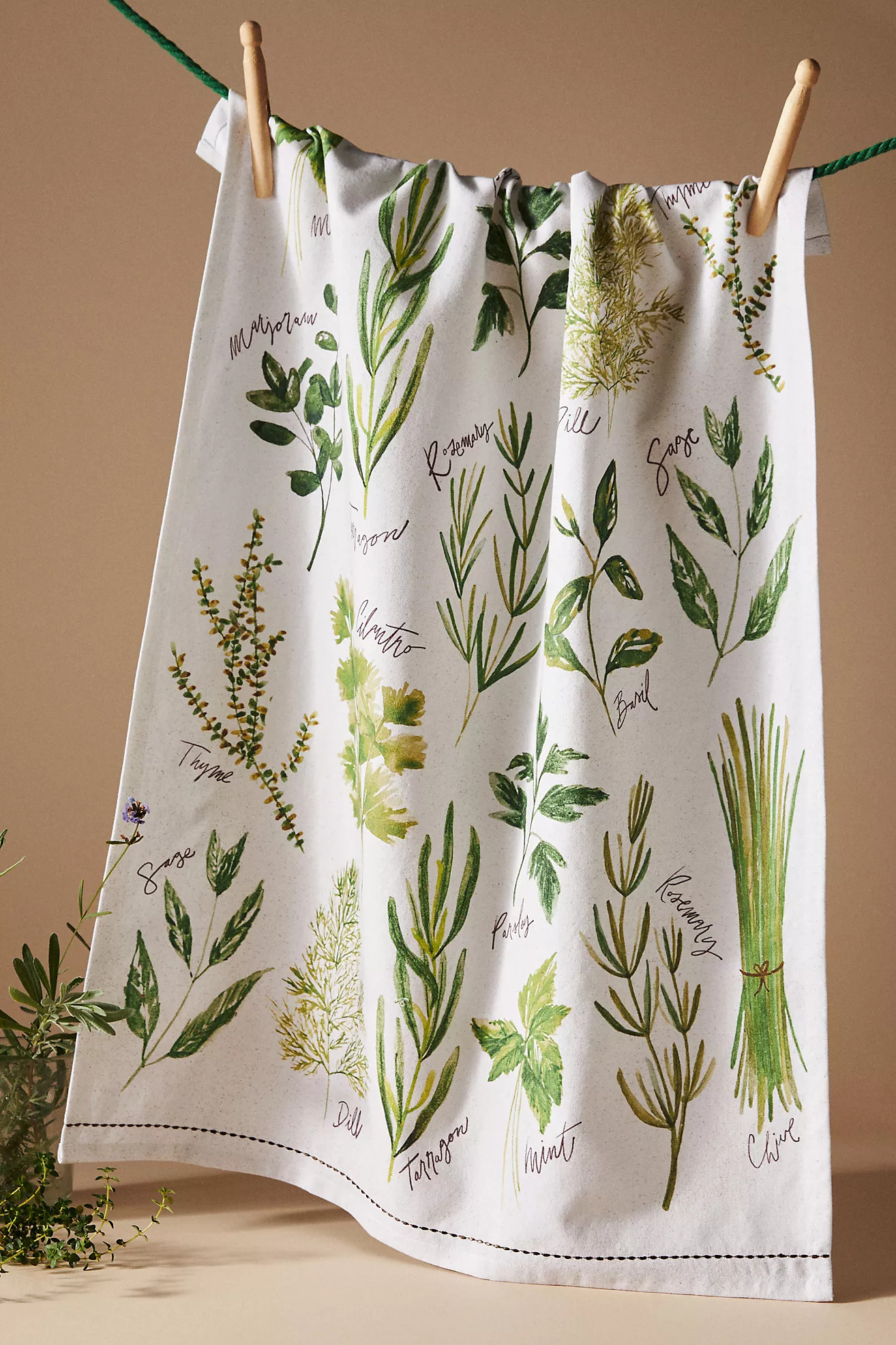 Types Of Herbs Dish Towel | Anthropologie (US)