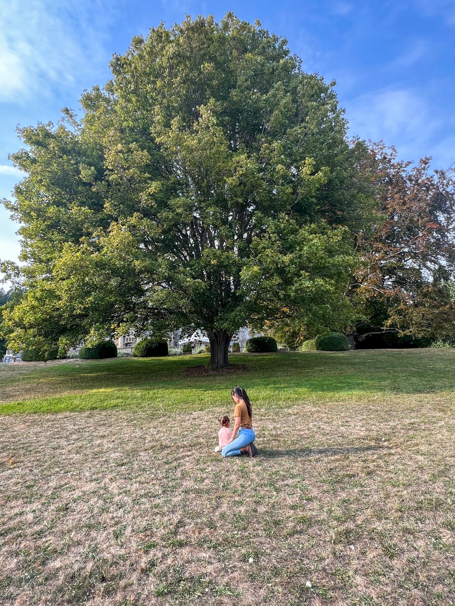 Kneeling in the grass beneath this wide, sheltering tree, I feel the quiet reminder that everything moves in cycles. The branches that have stretched tall all summer now prepare to release, making space for what's next.
The light shifts, the air
softens, and the earth whispers that a new season is arriving.
In these moments of transition, I find comfort in simplicity-pieces that adapt as easily as the seasons themselves. This Unbound tee is one of them. Lightweight yet grounding, it layers effortlessly for warmth, breathes with me when the sun lingers, and carries me through the changing days with ease.
Just as the tree trusts its rhythm, I'm learning to trust mine-rooted, adaptable, and ready to turn with the seasons. 🍂🍁🍃

#LTKcanada #LTKfamily #LTKtravel