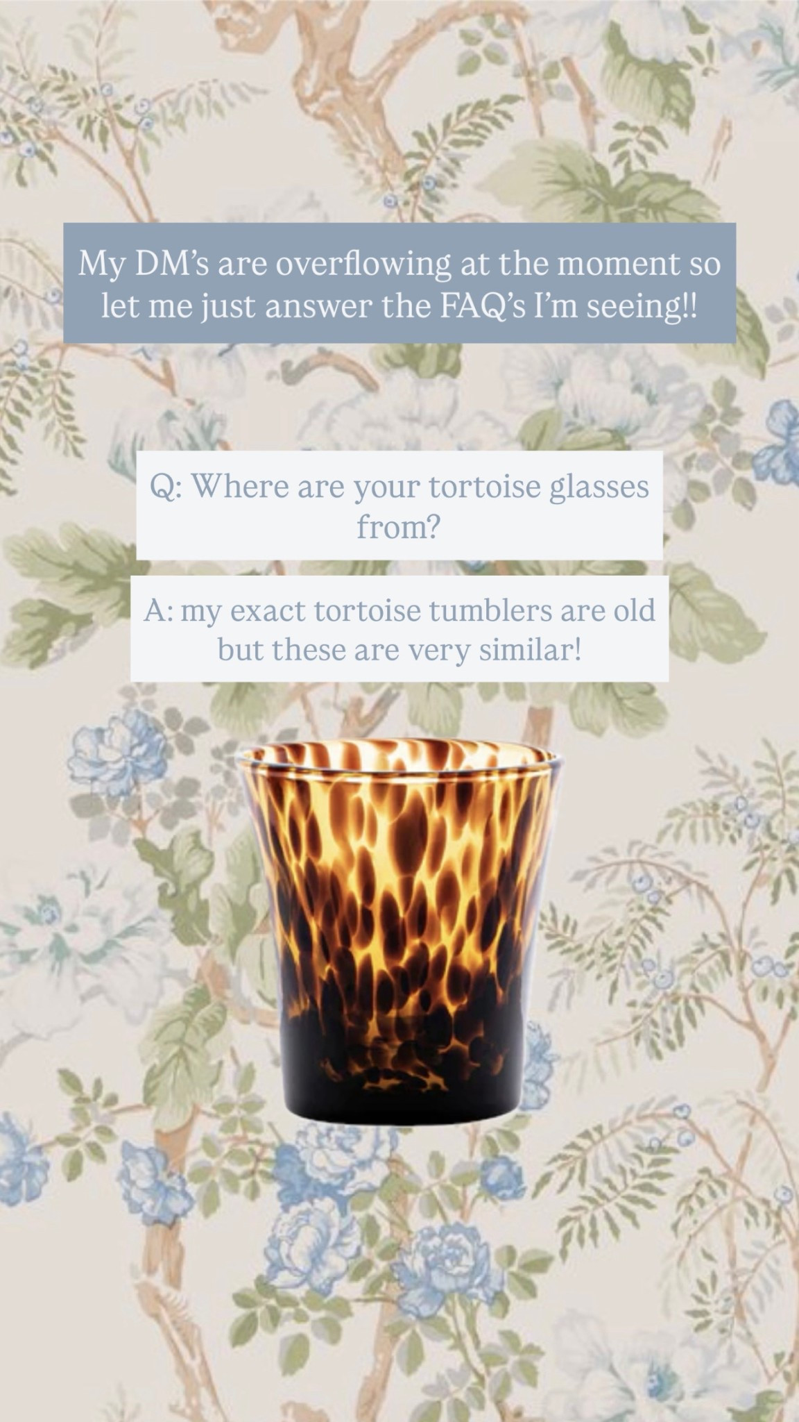 Tortoise tumblers!