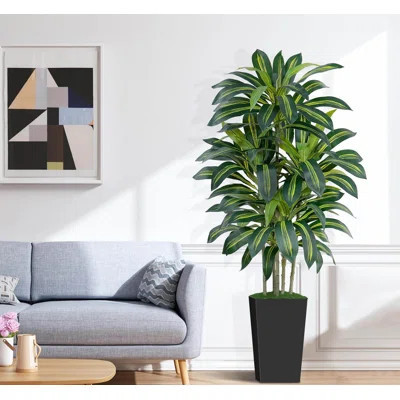 Artificial Dracaena Fake Tree 5FT, Black High Pot Artificial Plants Indoor&Outdoor | Wayfair North America