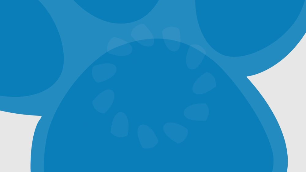 PAW Patrol 40-inch Saucer Swing – Includes Hardware for Swing Set or Tree Attachment - Walmart.... | Walmart (US)