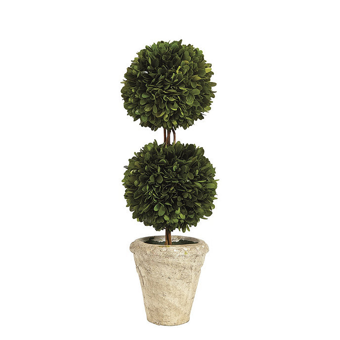 Preserved Boxwood Topiary | Ballard Designs, Inc.
