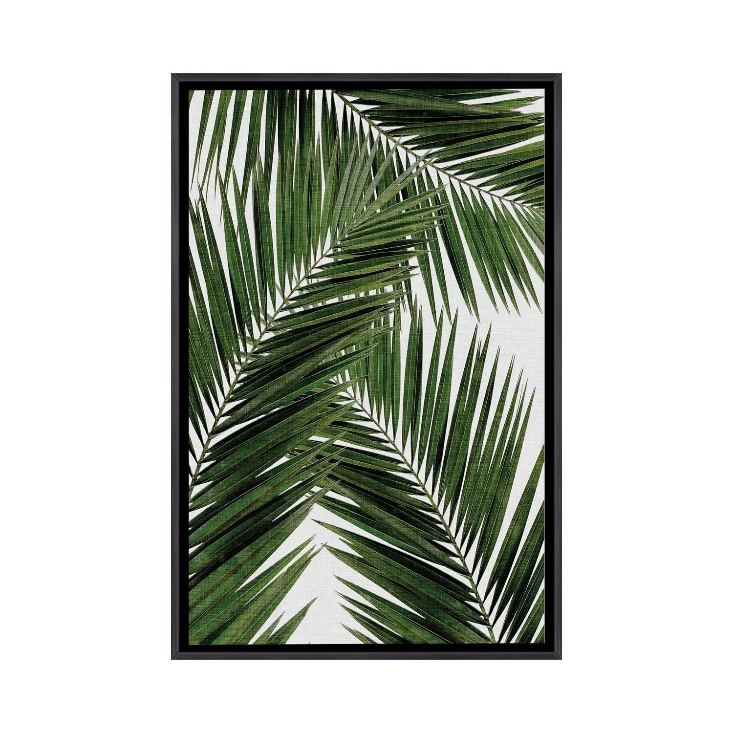 iCanvas "Palm Leaf III" by Orara Studio Framed | Bed Bath & Beyond