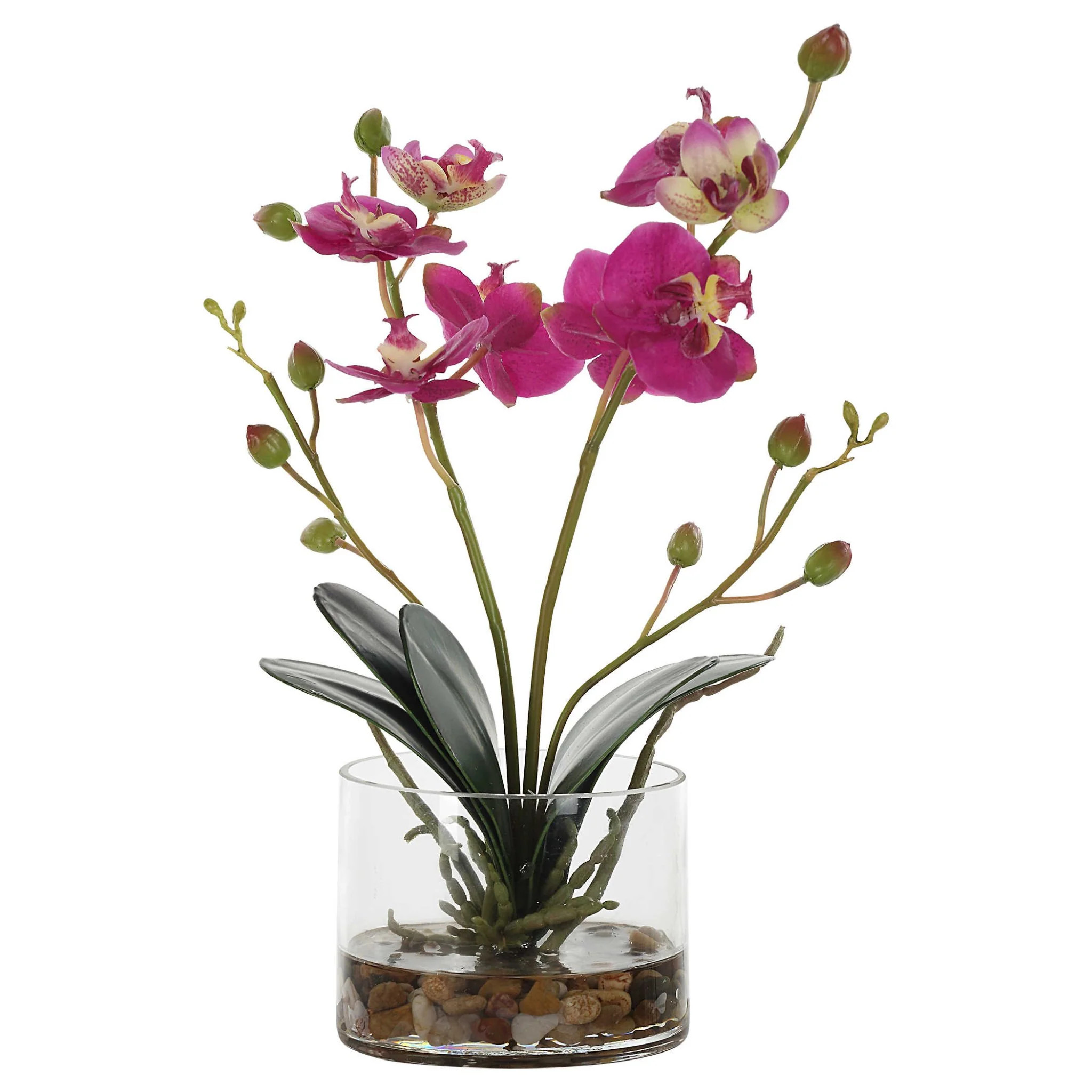 Glory Orchid | Outrageous Interiors + Design
