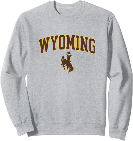 Wyoming Cowboys Men's Apparel Fan Favorite Arch Sweatshirt | Amazon (US)