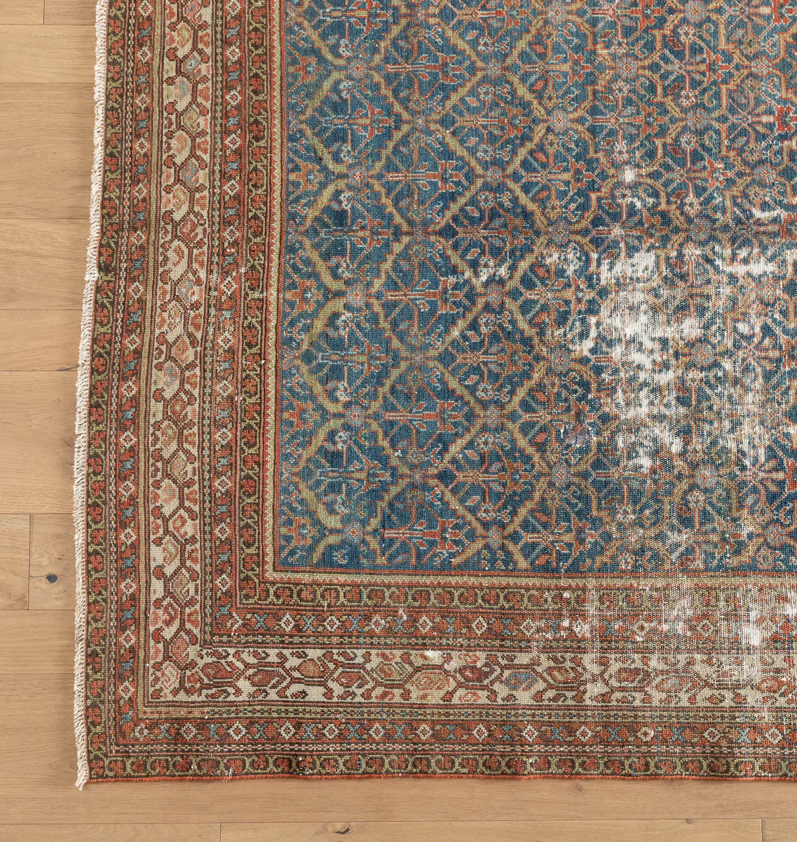 Fez Rug 4'9" x 9'3" | Shoppe Amber Interiors | Amber Interiors