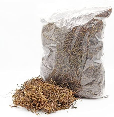 1 LB Brown Preserved Spanish Moss - - Indoor Outdoor for Potted Plants, Vase Fillers, Terrariums, Fa | Amazon (US)