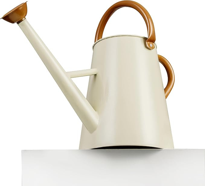 Metal Watering Can with Removable Spout, 1.5 Gallon Large Watering Cans for Plants, Galvanized St... | Amazon (US)