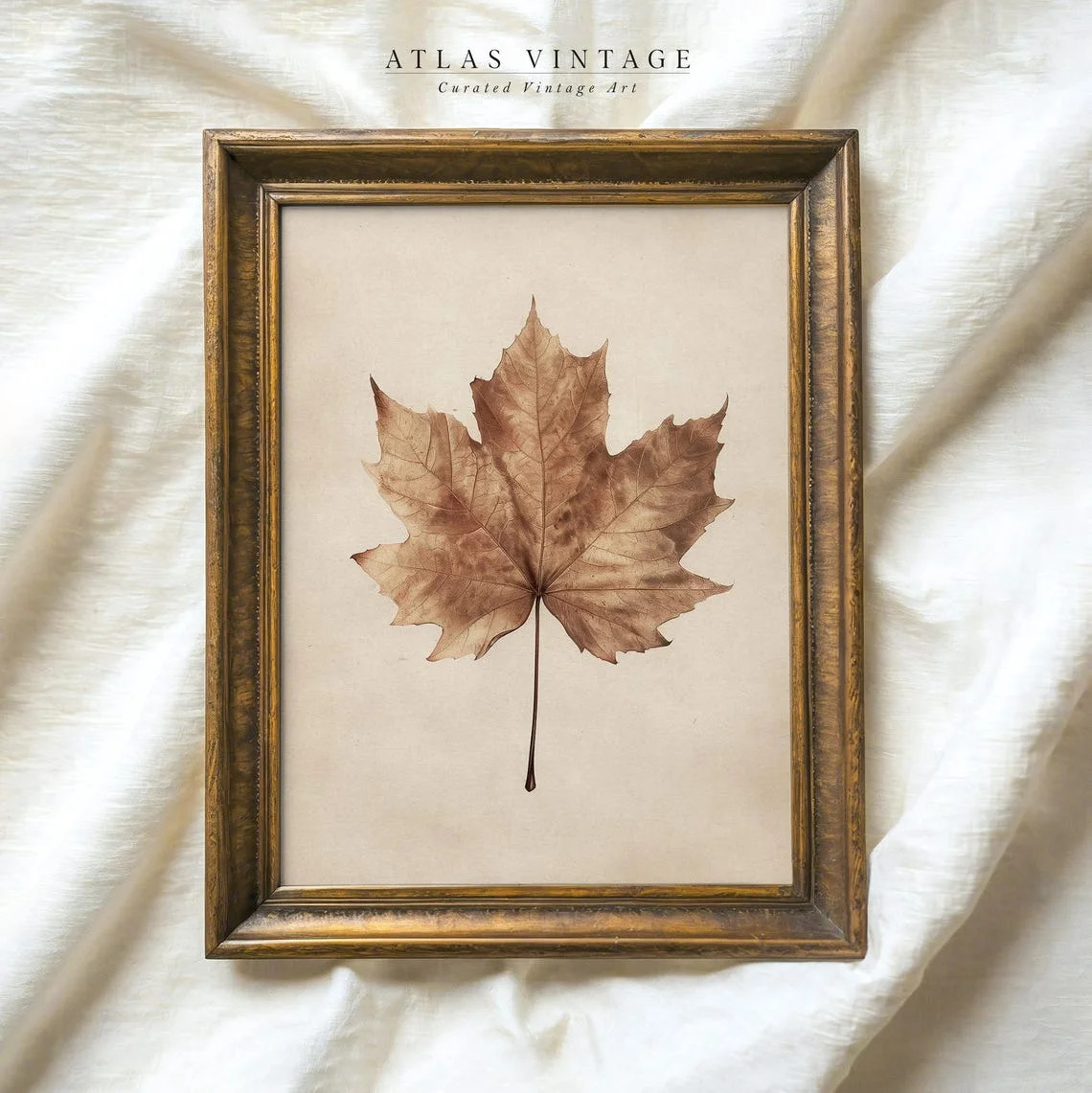 Modroom Vintage Fall Leaf Print | Neutral Rustic Farmhouse Autumn Decor | Maple Leaf | Costume Pa... | Walmart (US)