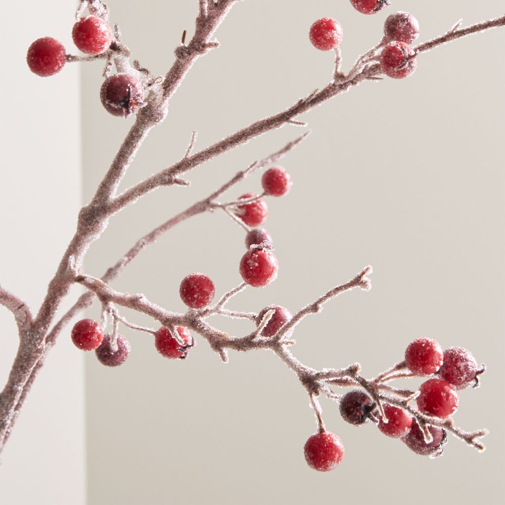 Icy Red Berry Stem Branch | Crate & Barrel