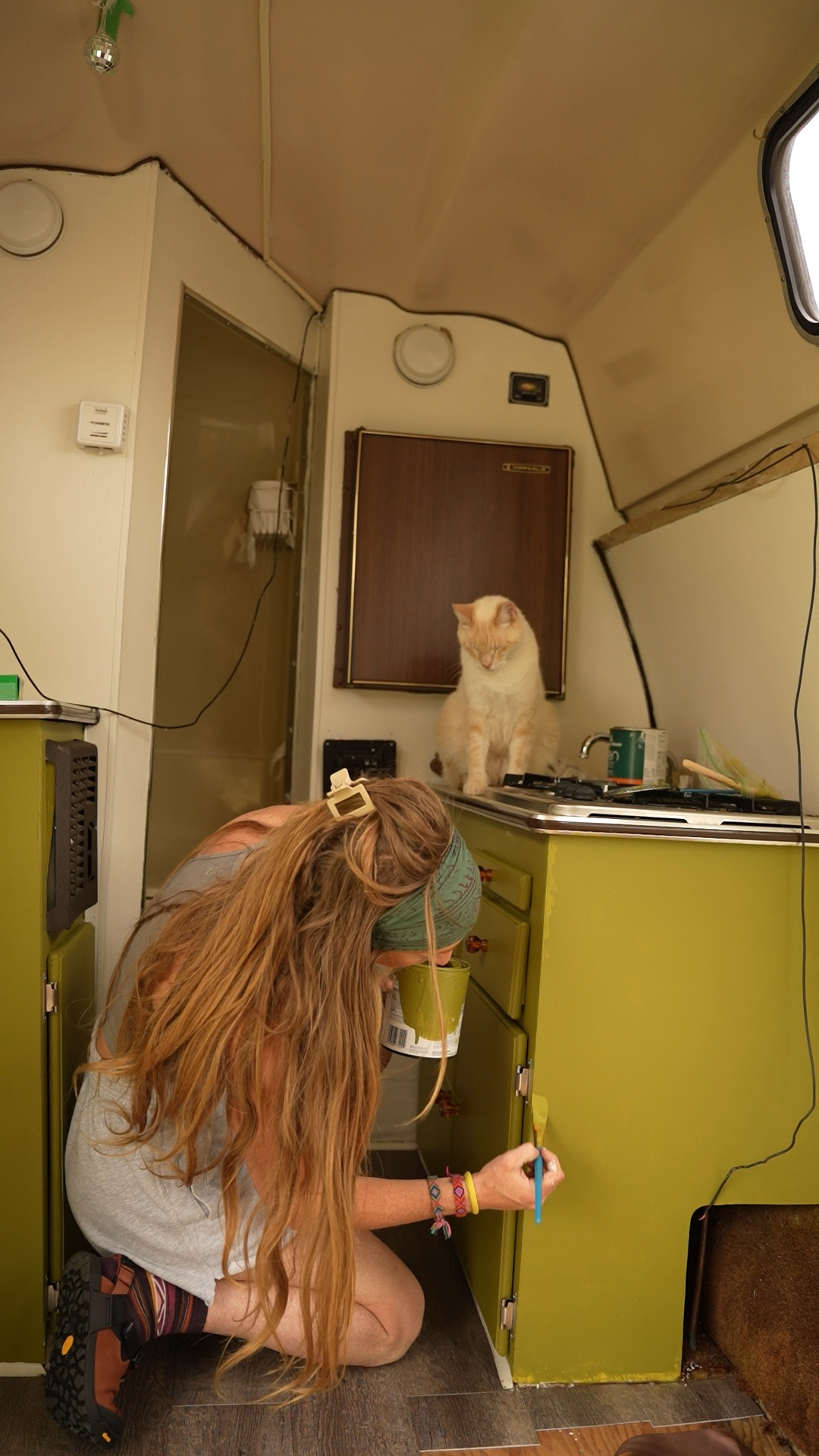 on a mission to make Marley’s home as cute and retro as can be🪩🤎☮️

#vanlife #adventure #travel