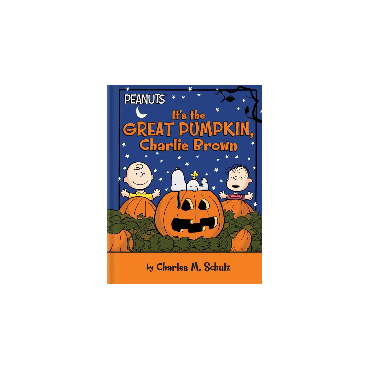 It's the Great Pumpkin, Charlie Brown - (Peanuts) by Charles M Schulz | Target
